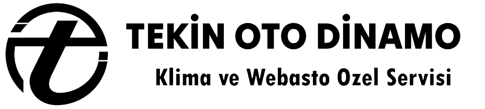 Tekin Oto Dinamo logo